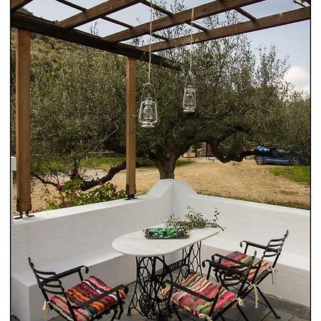Villa Liodentro House Karpathos Exterior foto