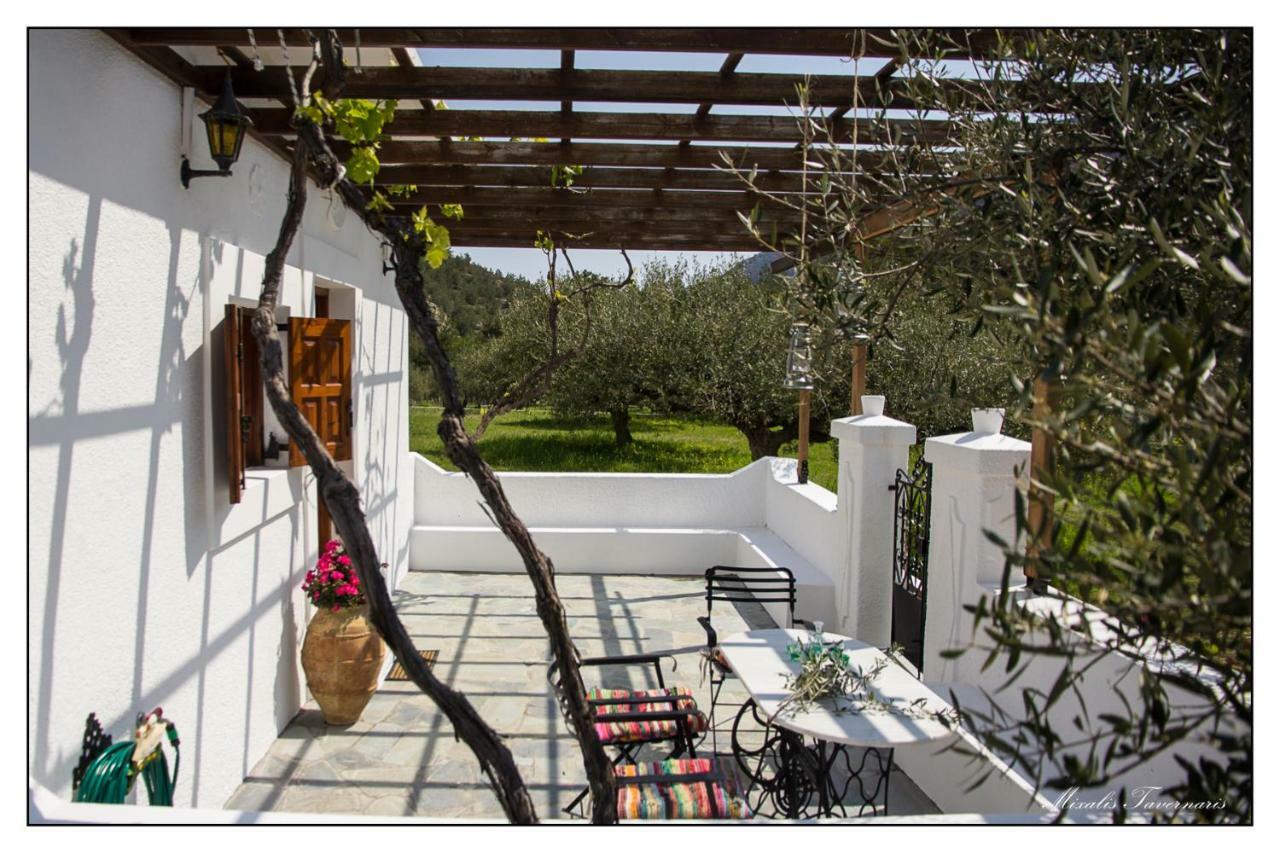 Villa Liodentro House Karpathos Exterior foto