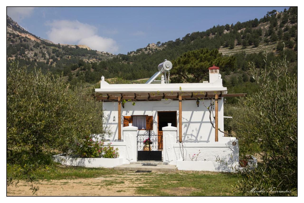 Villa Liodentro House Karpathos Exterior foto